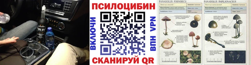 Галлюциногенные грибы Psilocybe  Ханты-Мансийск 